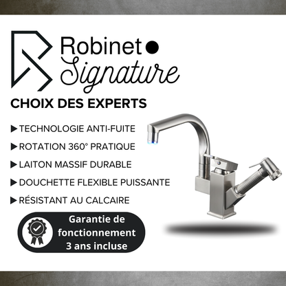 Robinet mitigeur évier cuisine design led flexible douchette pistolet - Argenté - Laiton