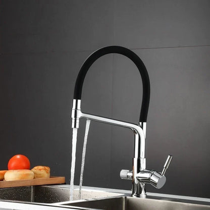 Robinet mitigeur cuisine évier flexible double robinet purificateur d'eau - Argenté - Laiton