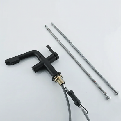 Robinet mitigeur cuisine affichage thermostatique flexible - Noir - Laiton