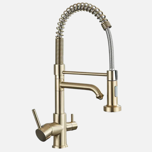 Robinet mitigeur évier cuisine douchette purificateur d'eau - Doré - Laiton