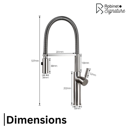 Robinet mitigeur évier cuisine flexible douchette design - Argenté - Laiton