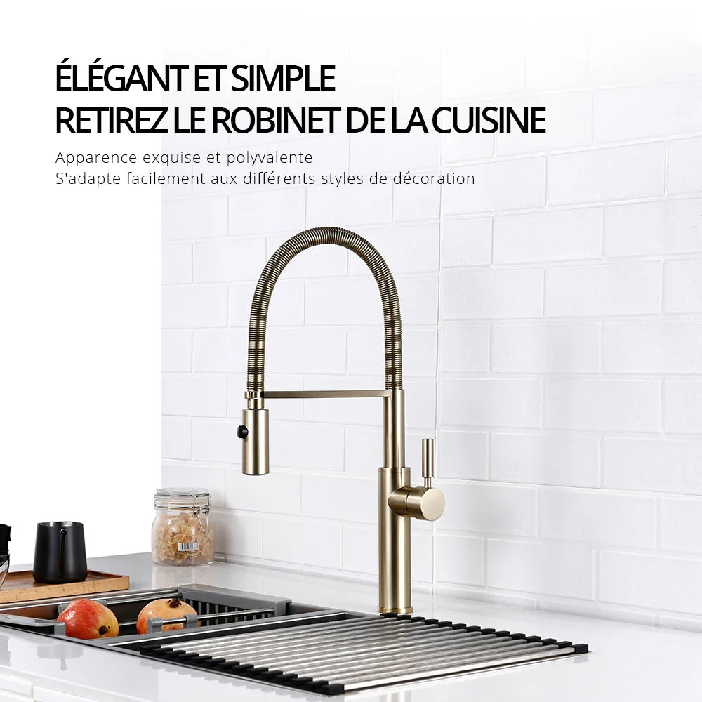Robinet mitigeur évier cuisine flexible douchette design - Argenté - Laiton (img fond gris vairante)+images lifestyle