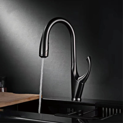 Robinet mitigeur évier cuisine design moderne flexible douchette - Noir / Argenté - Laiton