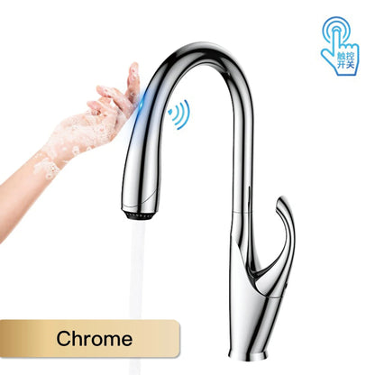 Robinet mitigeur évier cuisine design moderne flexible douchette - Noir / Argenté - Laiton