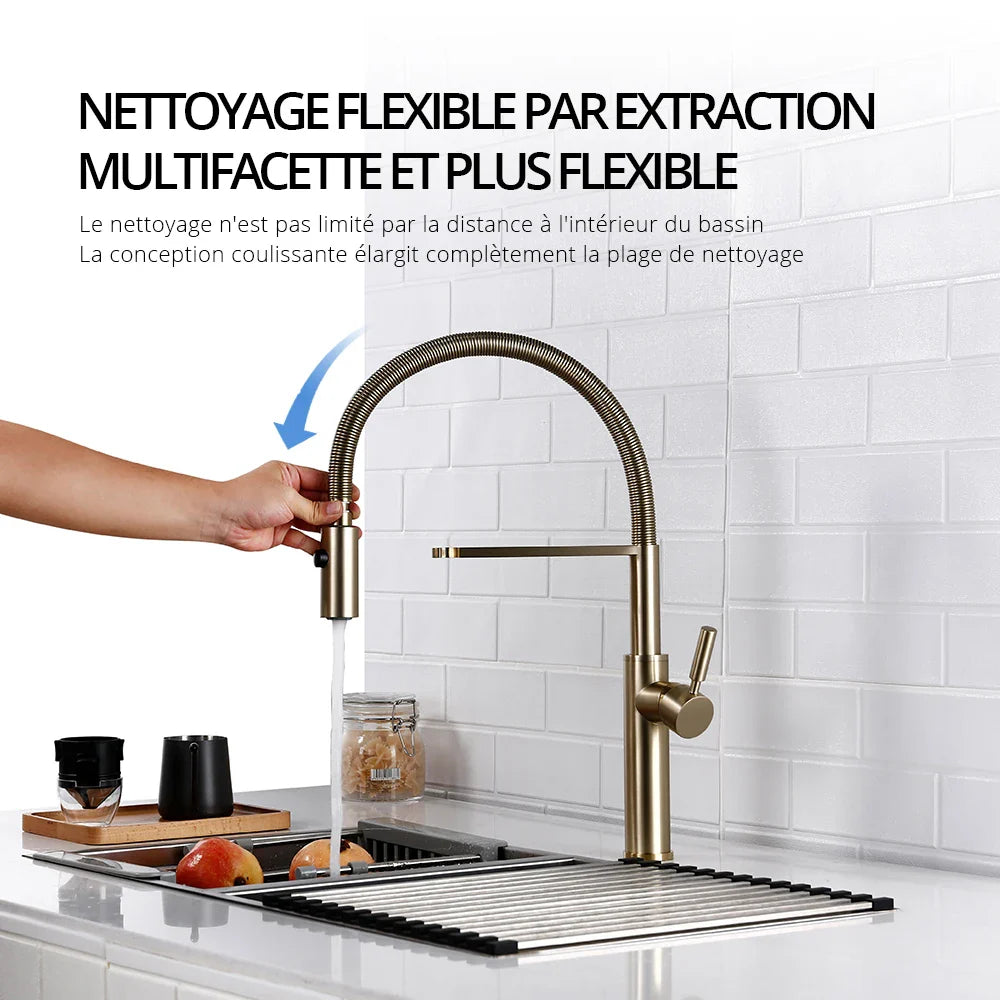 Robinet mitigeur évier cuisine flexible douchette design - Argenté - Laiton (img fond gris vairante)+images lifestyle
