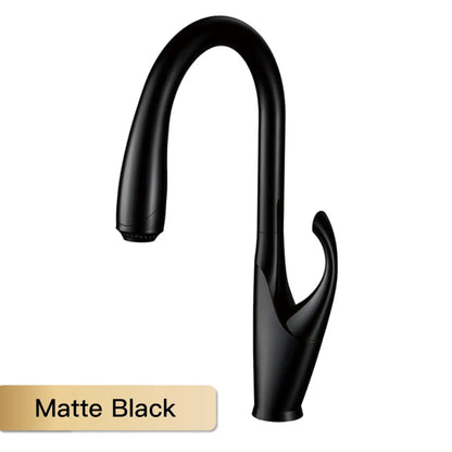 Robinet mitigeur évier cuisine design moderne flexible douchette - Noir / Argenté - Laiton