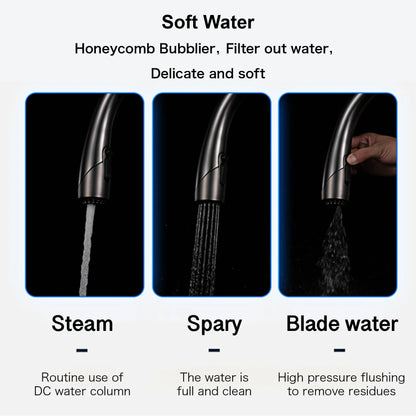 Robinet mitigeur évier cuisine design moderne flexible douchette - Noir / Argenté - Laiton