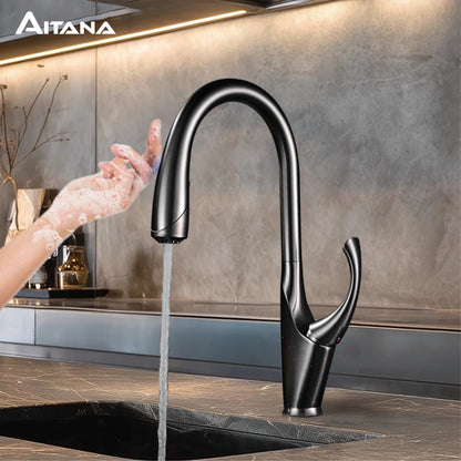 Robinet mitigeur évier cuisine design moderne flexible douchette - Noir / Argenté - Laiton