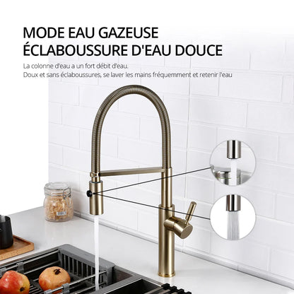 Robinet mitigeur évier cuisine flexible douchette design - Argenté - Laiton (img fond gris vairante)+images lifestyle