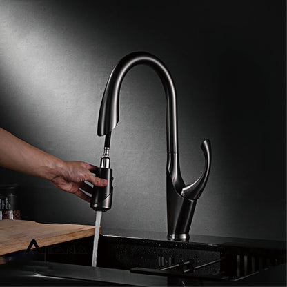 Robinet mitigeur évier cuisine design moderne flexible douchette - Noir / Argenté - Laiton