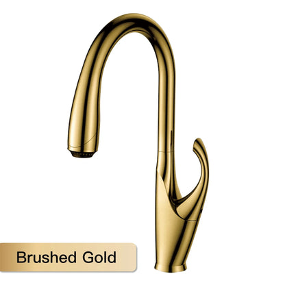 Robinet mitigeur évier cuisine design moderne flexible douchette - Noir / Argenté - Laiton