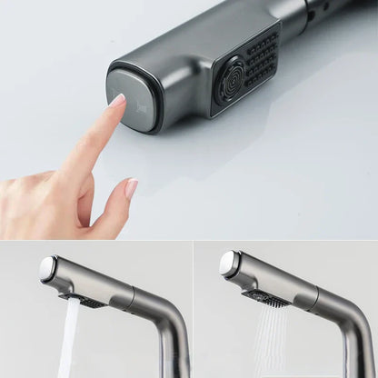 Robinet mitigeur cuisine affichage thermostatique flexible - Argenté - Laiton