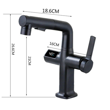 Robinet mitigeur cuisine affichage thermostatique flexible - Noir - Laiton