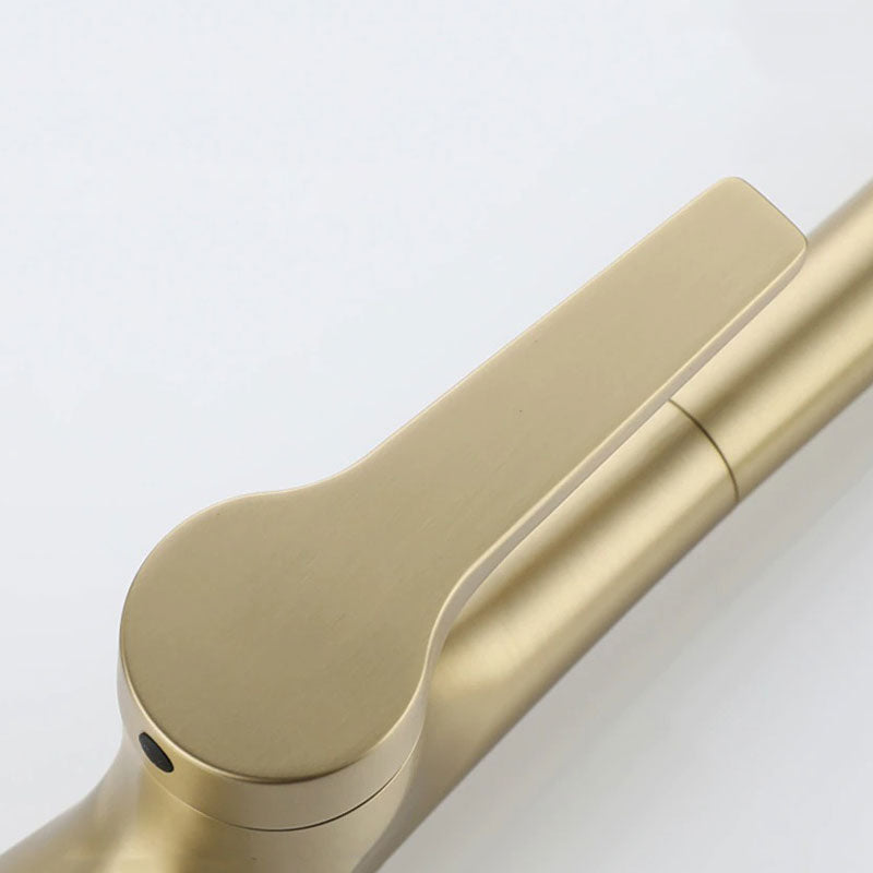 Mitigeur Robinet cuisine avec douchette extractible col de cygne LUXE doré