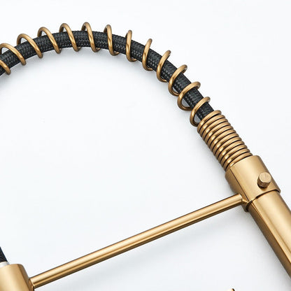 Mitigeur Robinet cuisine avec douchette flexible doré